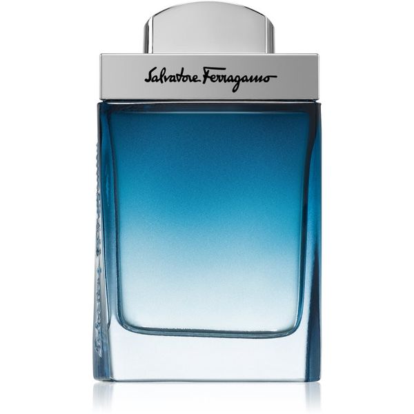 Salvatore Ferragamo Salvatore Ferragamo Subtil Pour Homme toaletna voda za moške 50 ml