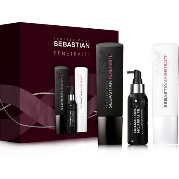 Sebastian Professional Sebastian Professional Penetraitt darilni set (za poškodovane in kemično obdelane lase)