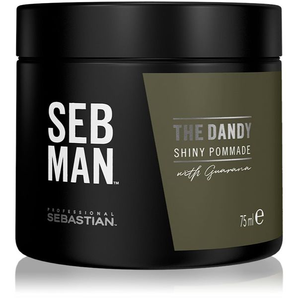 Sebastian Professional Sebastian Professional SEB MAN The Dandy pomada za lase za naravno fiksacijo 75 ml