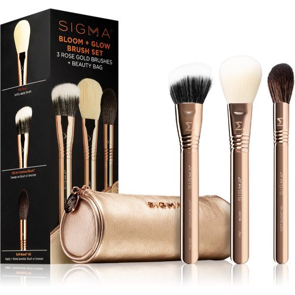 Sigma Beauty Sigma Beauty Brush Set Bloom + Glow set čopičev z etuijem