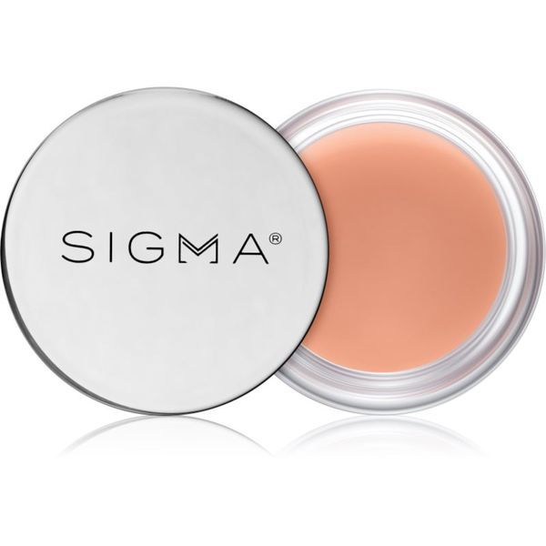 Sigma Beauty Sigma Beauty Hydro Melt Lip Mask vlažilna maska za ustnice s hialuronsko kislino odtenek Hush 9,6 g