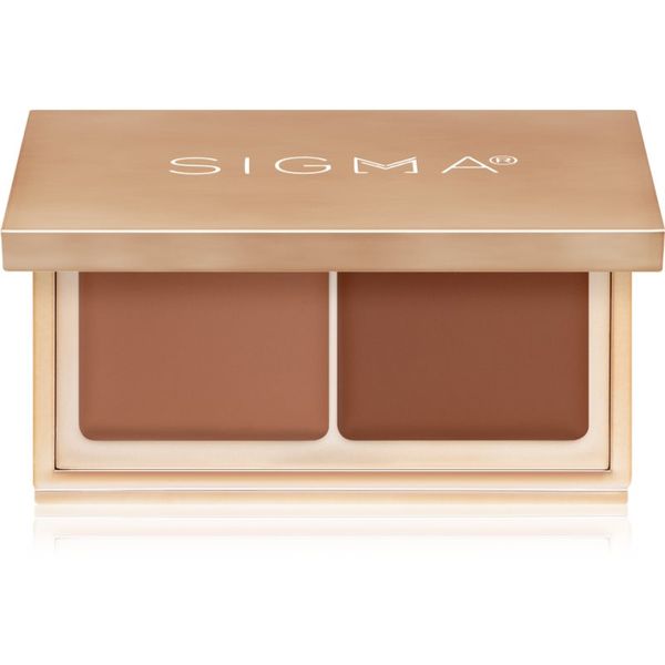 Sigma Beauty Sigma Beauty Spectrum Color-Correcting Duo kremasti korektor odtenek Dark to Deep 1,52 g