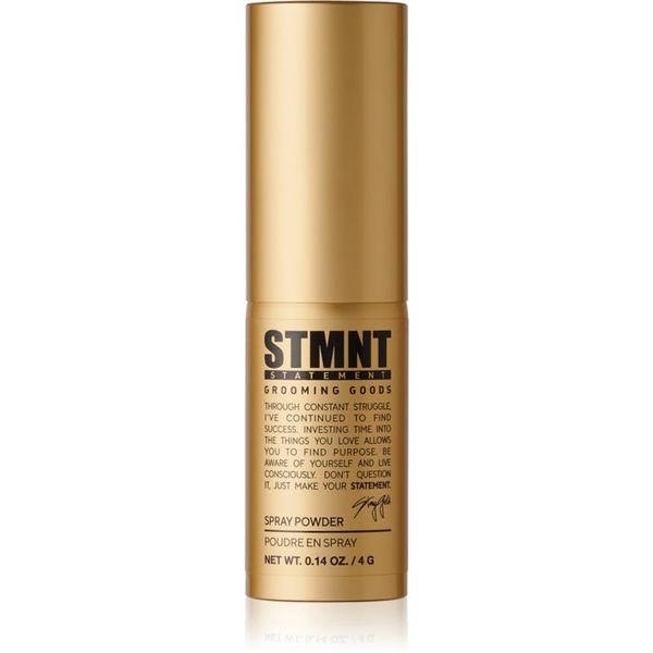 STMNT STMNT Staygold Spray Powder pudrasto pršilo za obliko 4 g