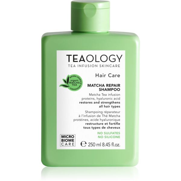 Teaology Teaology Hair Matcha Repair Shampoo šampon za krepitev las 250 ml
