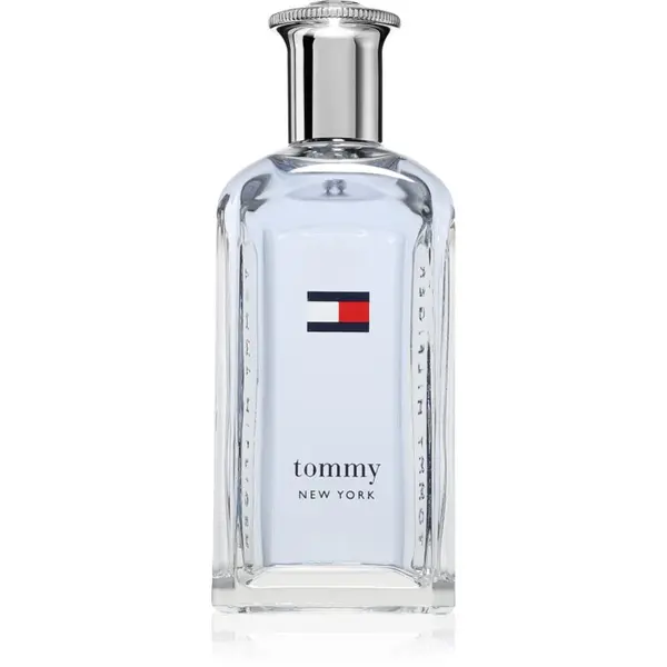Tommy Hilfiger Tommy Hilfiger NEW YORK toaletna voda za moške 100 ml