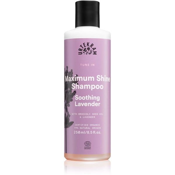 Urtekram Urtekram Soothing Lavender pomirjujoči šampon za sijaj in mehkobo las 250 ml