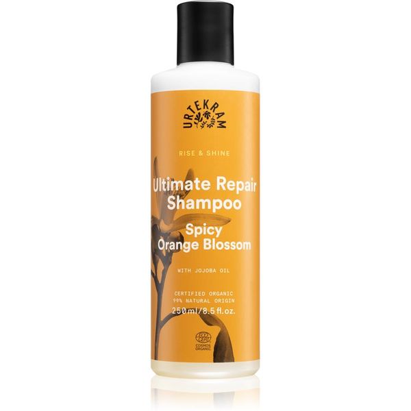 Urtekram Urtekram Spicy Orange Blossom šampon za suhe in poškodovane lase 250 ml