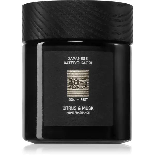 Vila Hermanos Vila Hermanos Apothecary Japanese Rest dišeča sveča 150 g