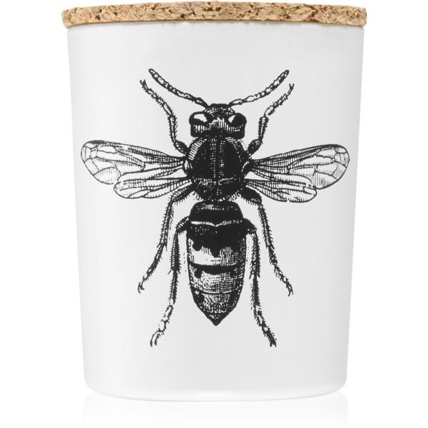 Vila Hermanos Vila Hermanos Insect Calabrone dišeča sveča 75 g