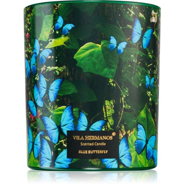 Vila Hermanos Vila Hermanos Jungletopia Blue Butterfly dišeča sveča 200 g