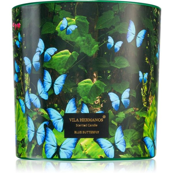 Vila Hermanos Vila Hermanos Jungletopia Blue Butterfly dišeča sveča 620 g