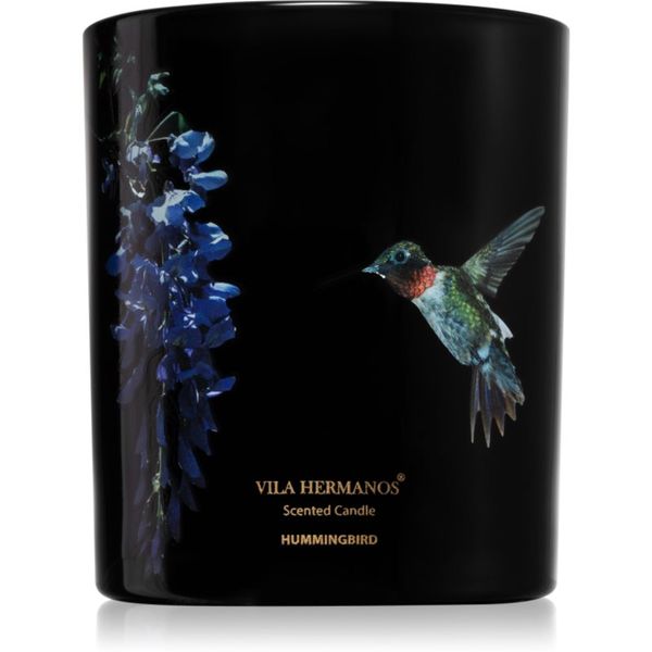 Vila Hermanos Vila Hermanos Jungletopia Hummingbird dišeča sveča 200 g