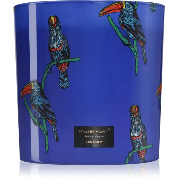Vila Hermanos Vila Hermanos Jungletopia Rain Forest dišeča sveča 1450 g