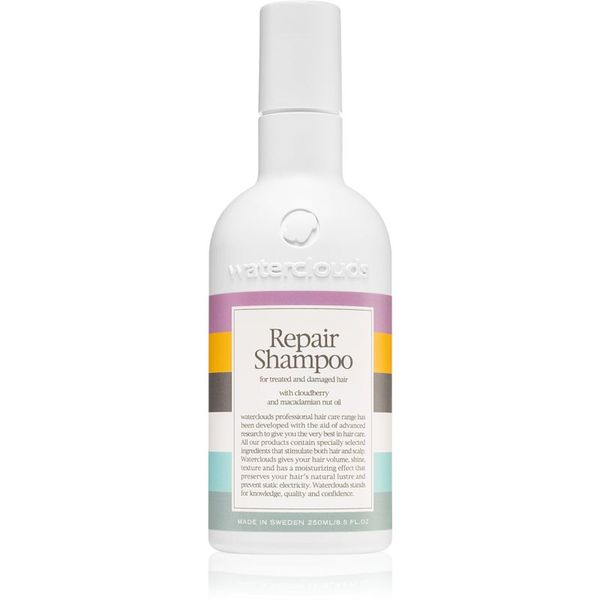 Waterclouds Waterclouds Repair Shampoo blag negovalni šampon 250 ml