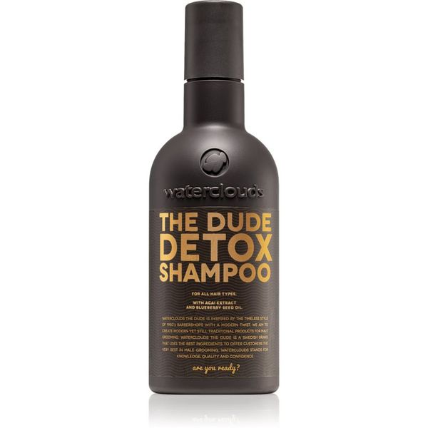 Waterclouds Waterclouds The Dude dnevni razstrupljevalni šampon 250 ml