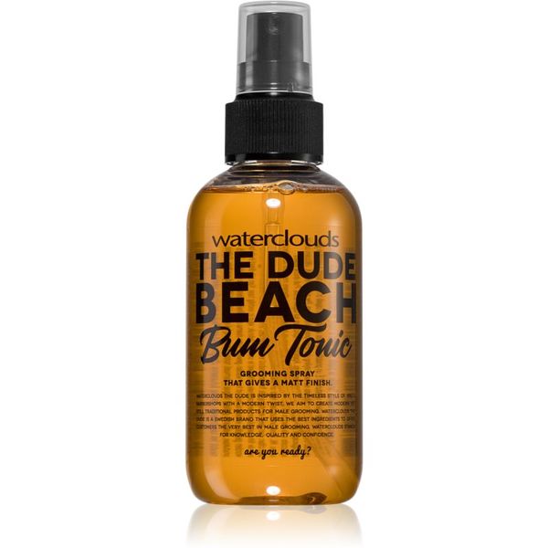 Waterclouds Waterclouds The Dude stiling pršilo za lase 150 ml