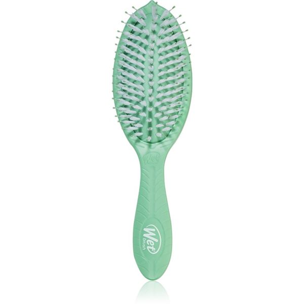 Wet Brush Wet Brush Go Green Treatment And Shine krtača za sijaj in mehkobo las Tea Tree