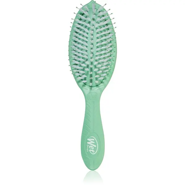 Wet Brush Wet Brush Go Green Treatment And Shine krtača za sijaj in mehkobo las Tea Tree