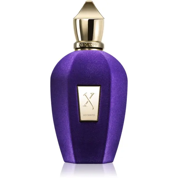 Xerjoff Xerjoff Accento parfumska voda uniseks 100 ml