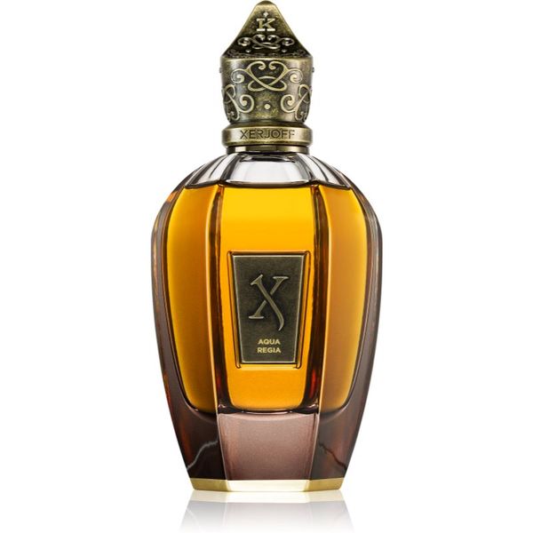 Xerjoff Xerjoff Aqua Regia parfum uniseks 100 ml