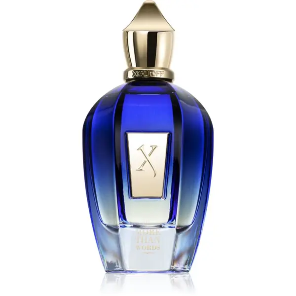 Xerjoff Xerjoff More than Words parfumska voda uniseks 100 ml