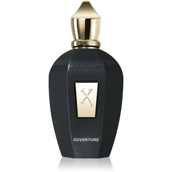 Xerjoff Xerjoff Ouverture parfumska voda uniseks 100 ml