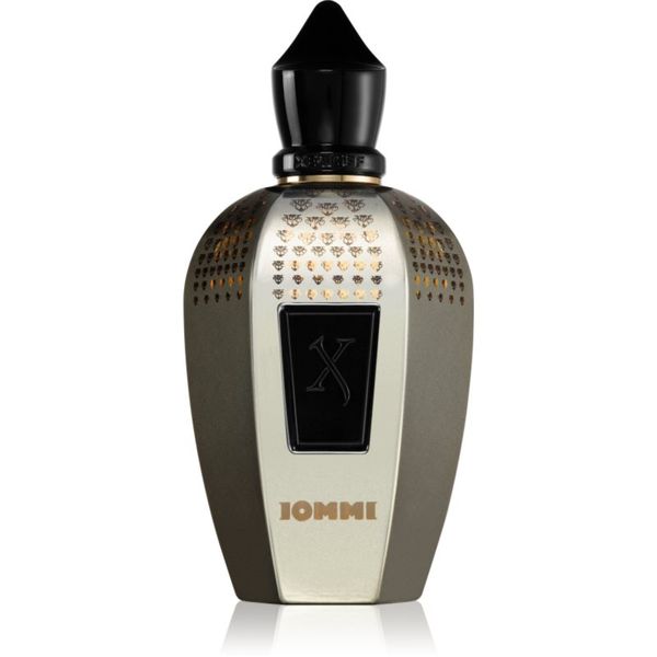 Xerjoff Xerjoff Tony Iommi Monkey Special parfum uniseks 100 ml