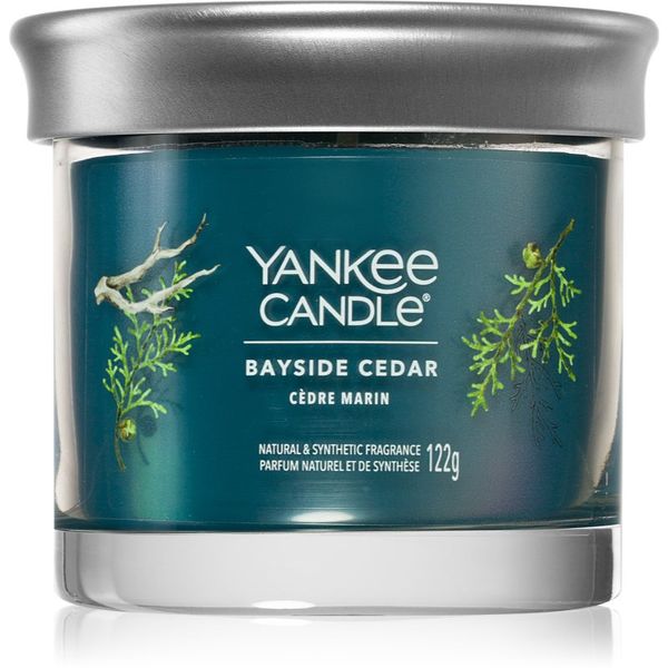 Yankee Candle Yankee Candle Bayside Cedar dišeča sveča I. 122 g