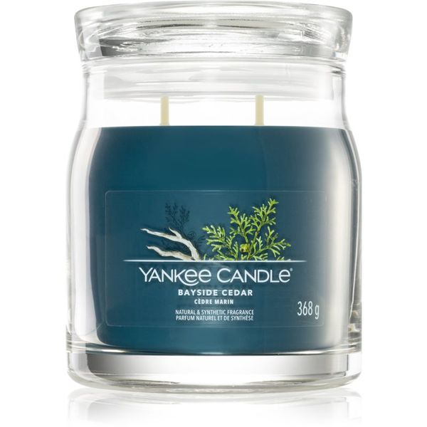 Yankee Candle Yankee Candle Bayside Cedar dišeča sveča I. 368 g