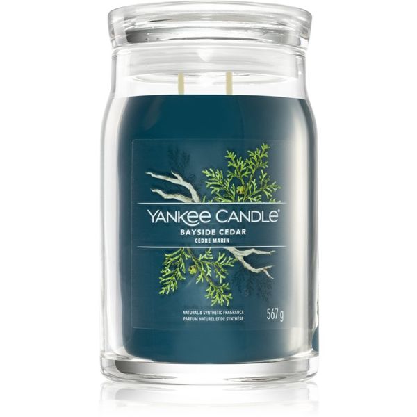 Yankee Candle Yankee Candle Bayside Cedar dišeča sveča I. Signature 567 g