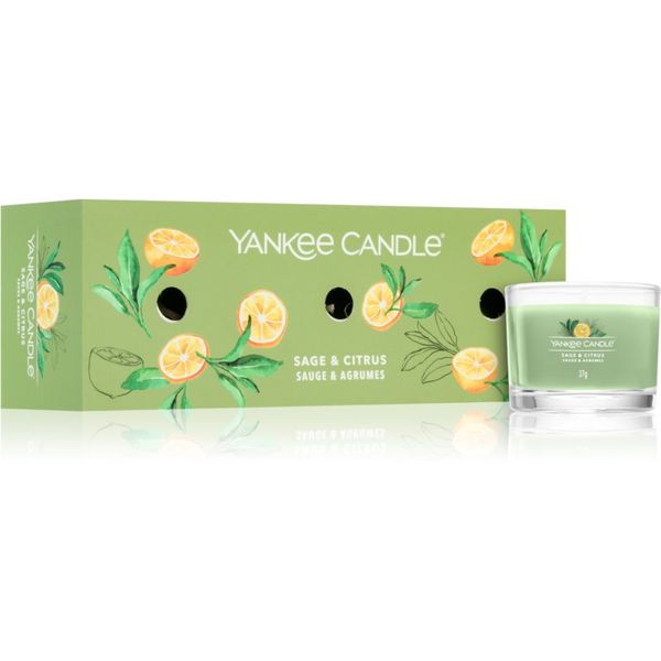 Yankee Candle Yankee Candle Sage & Citrus darilni set 3x37 g