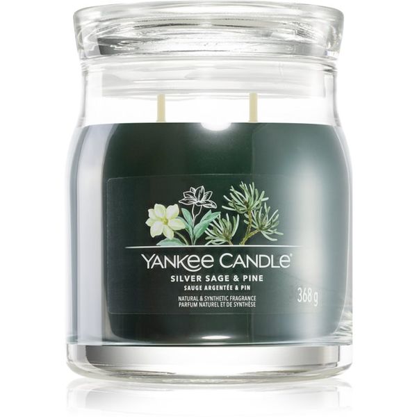 Yankee Candle Yankee Candle Silver Sage & Pine dišeča sveča Signature 368 g