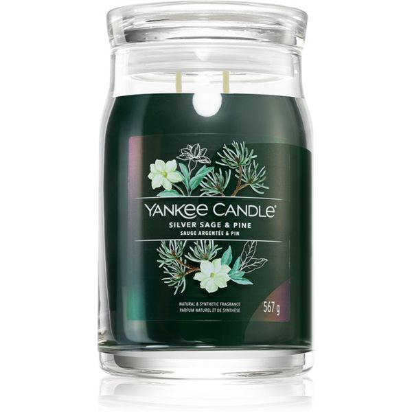 Yankee Candle Yankee Candle Silver Sage & Pine dišeča sveča Signature 567 g