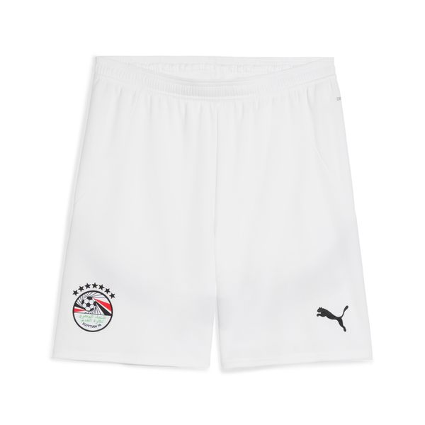 PUMA Men's Puma Egypt 2025 Shorts, White, Size XXL, Sport