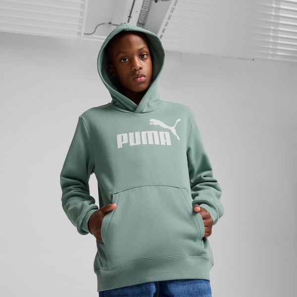 PUMA Men's Puma ESS No. 1 Logo Fleece Hoodie Youth, Green, Size 13-14Y, Clothing