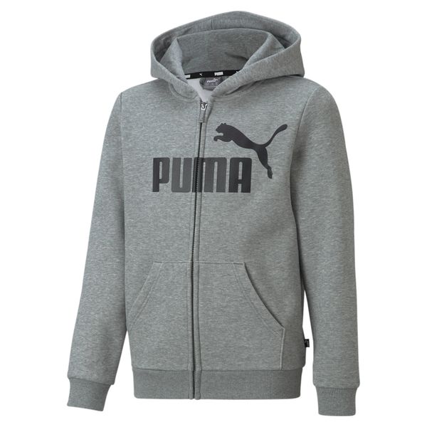 PUMA Men's Puma Essentials Big Logo Full-Zip Hoodie Youth, Gray, Size 2-3Y, Clothing