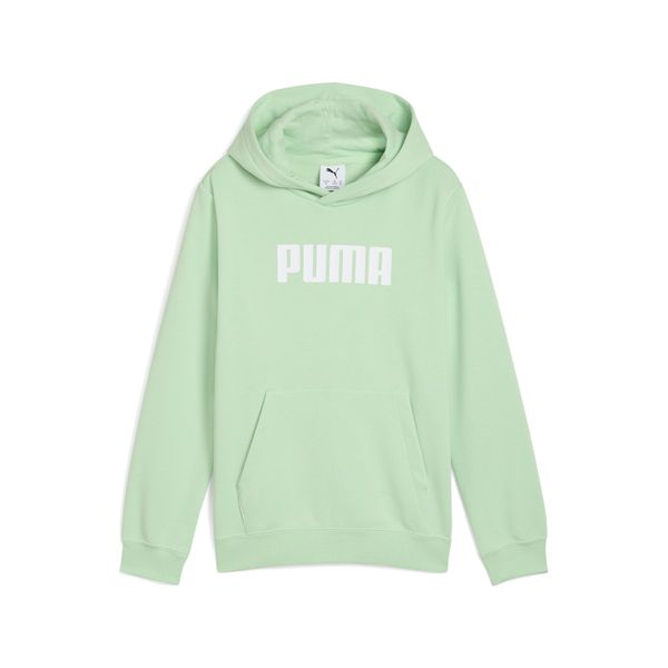PUMA Men's Puma Essentials Logo Hoodie Youth, Green, Size 13-14Y, Clothing