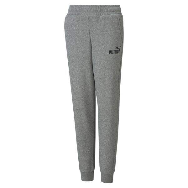 PUMA Men's Puma Essentials Logo Pants Youth, Gray, Size 15-16Y, Clothing