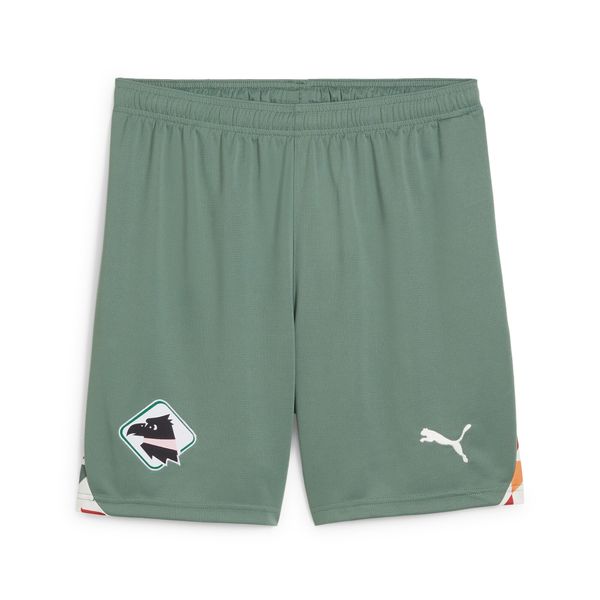 PUMA Men's Puma Palermo F.C. 24/25 Third Shorts, Green, Size XL, Sport