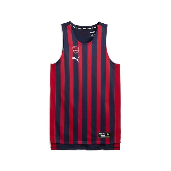 PUMA Men's Puma Saski Baskonia 24/25 Home Jersey, Blue, Size S, Clothing