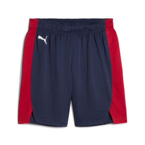 PUMA Men's Puma Saski Baskonia 24/25 Shorts, Blue, Size XS, Clothing