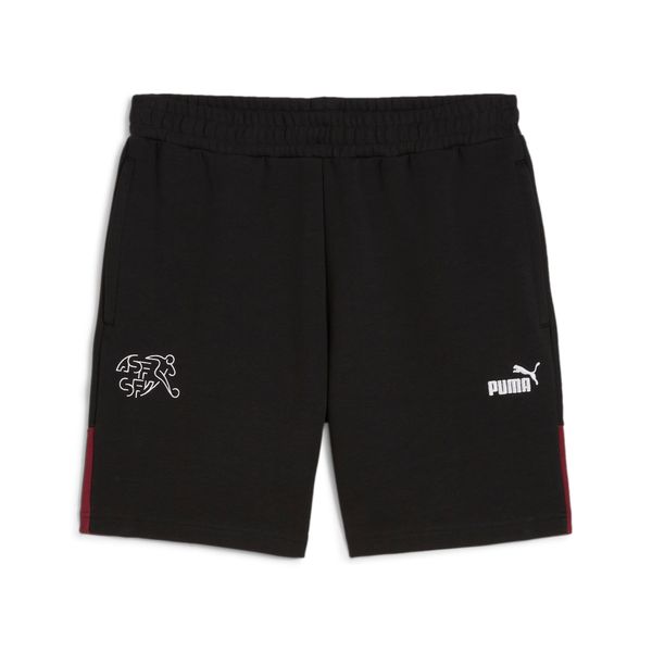 PUMA Men's Puma Switzerland Ftbl Archive Shorts, Black, Size L, Sport