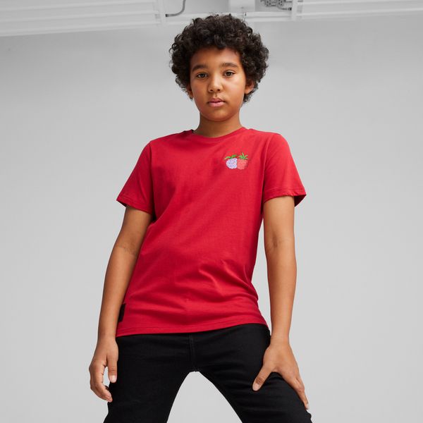 PUMA Men's Puma x ONE PIECE Youth Graphic T-Shirt, Red, Size 7-8Y, Clothing