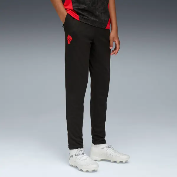PUMA PUMA AC Milan Training Pants Youth, Clothing, Black/Red, 15-16Y