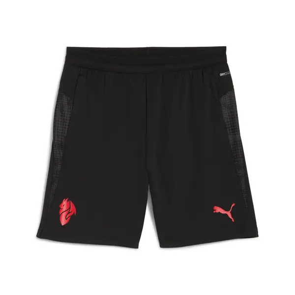 PUMA PUMA AC Milan Training Shorts Men, Sport, Black/Red, S