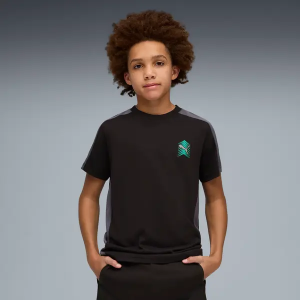 PUMA PUMA Active Sports Graphic Tee Youth, Clothing, Black, 15-16Y