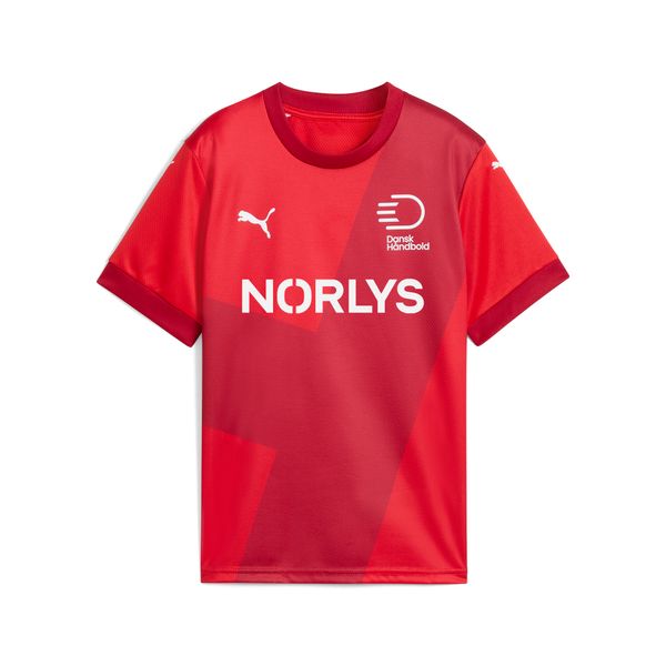 PUMA Puma Danish Handball Federation 24/25 Home Jersey Youth, Red, Size 4-5Y, Clothing