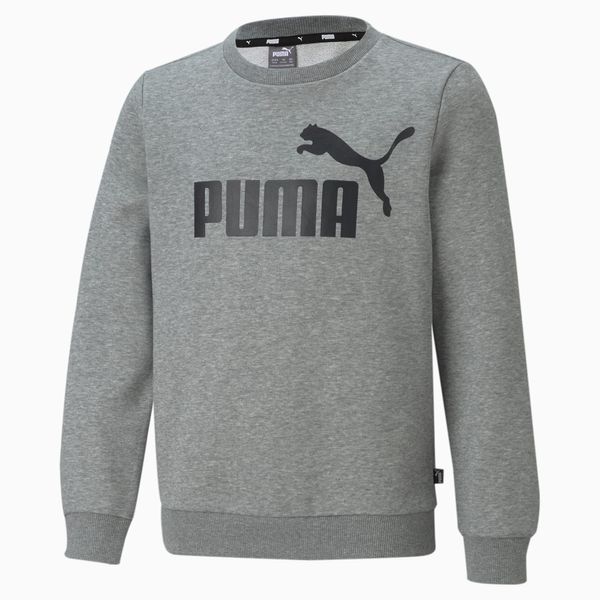 PUMA PUMA Essentials Big Logo Youth Sweatshirt, Medium Grey Heather