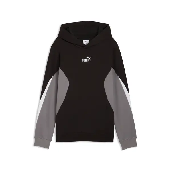 PUMA PUMA Essentials Block Hoodie Youth, Sweatshirts, Black, 15-16Y