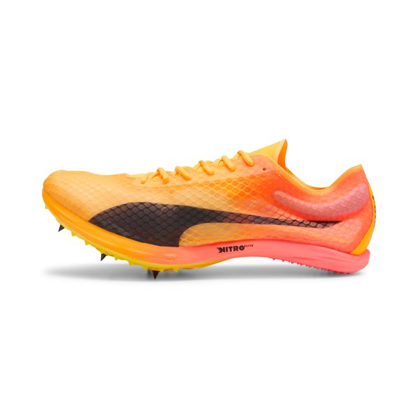 PUMA Puma evo SPEED Distance NITROâ¢ Elite+ 4, Orange, Size 43, Shoes